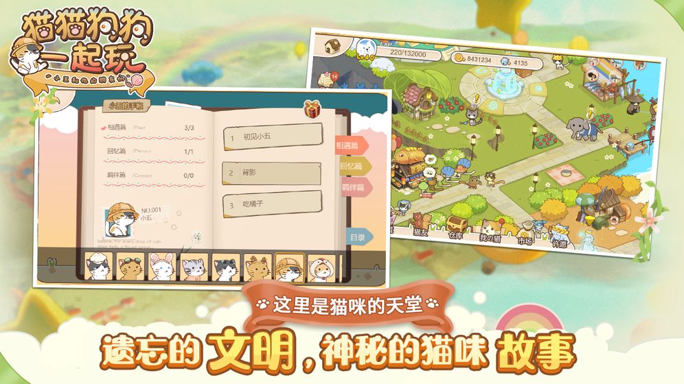 猫猫狗狗一起玩截图1