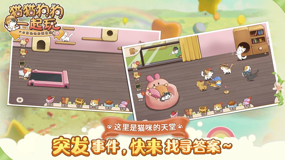 猫猫狗狗一起玩截图1