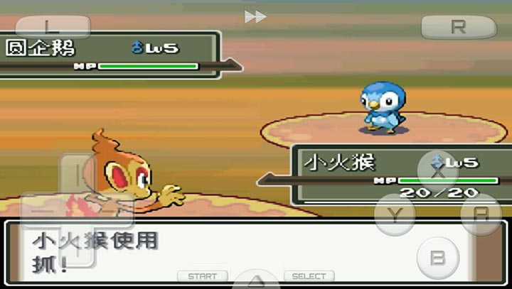 口袋妖怪白金截图1