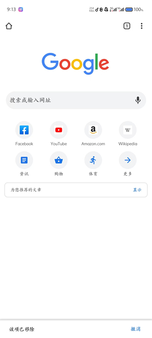 谷歌浏览器截图1