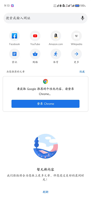 谷歌浏览器截图2
