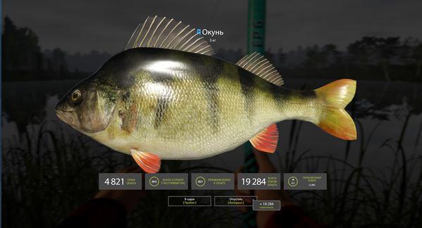 俄罗斯钓鱼4截图1