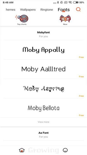 小米主题国际版截图4