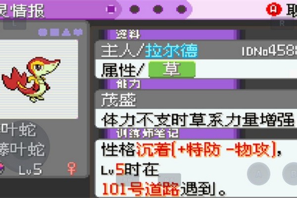 口袋妖怪漆黑的魅影截图1