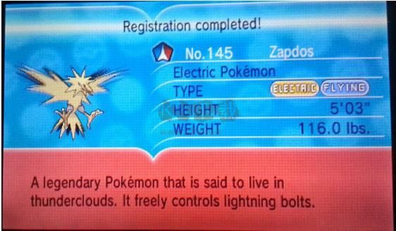 口袋妖怪XY手机版截图1