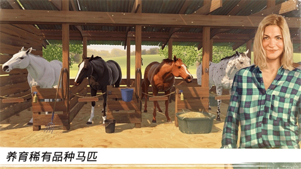 家族传奇马匹养成竞技截图3