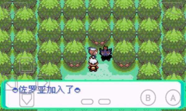 口袋妖怪漆黑的魅影游戏截图1