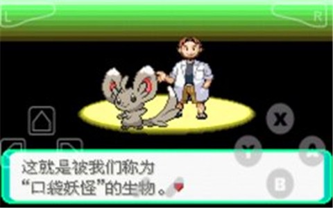 口袋妖怪漆黑的魅影游戏截图2