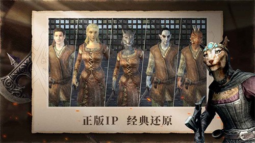 上古卷轴刀锋截图1
