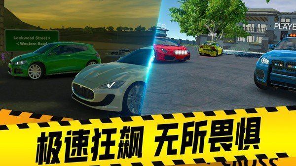 欧洲豪车模拟器截图3