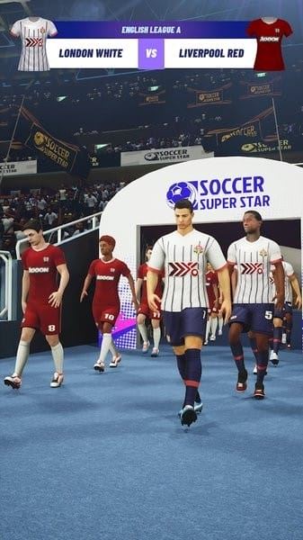 超级足球巨星(Soccer Star)截图1