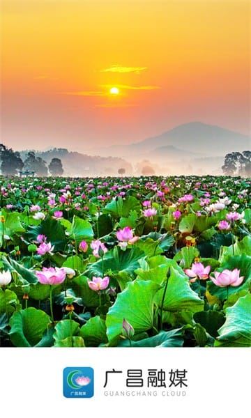广昌融媒截图1