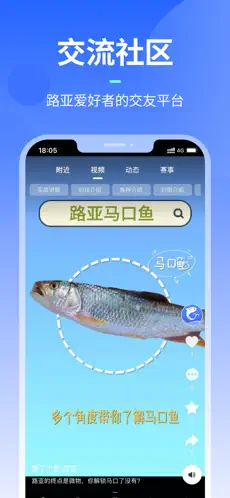 路了个鱼截图5