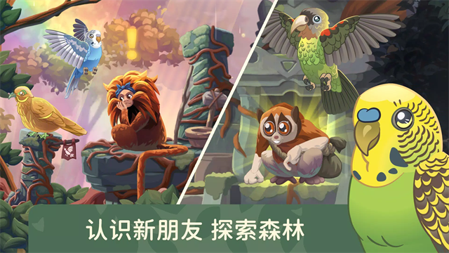 鸟类世界（ Bird Kind）截图1