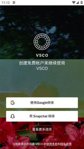 VSCO中文版