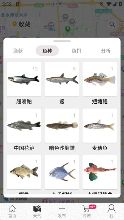 渔获潮汐天气预报 渔获潮汐天气预报