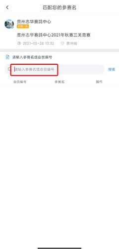 咕咕信鸽图片11