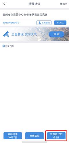 咕咕信鸽图片10