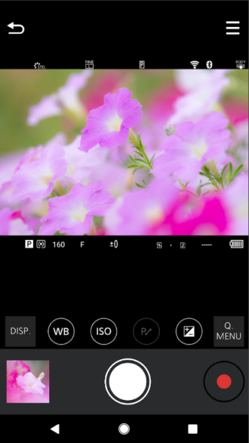松下LUMIX Sync官方版 松下LUMIX Sync官方版