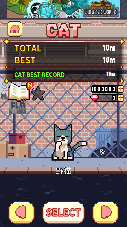 猫跳