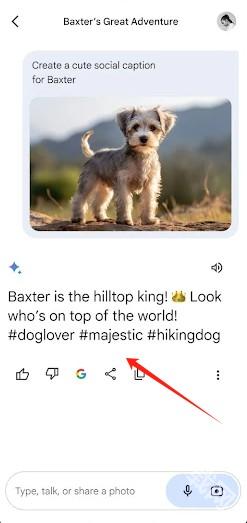 Google Gemini AI官方版