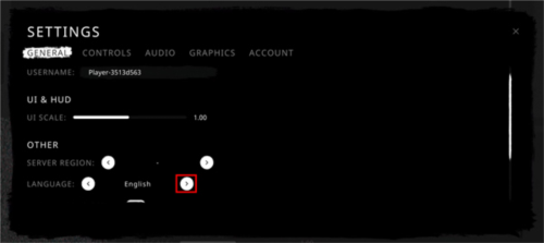 鬼魂多人联机国际服怎么调中文4